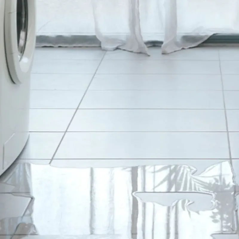Appliance Leak Cleanup in Rosemont, IL