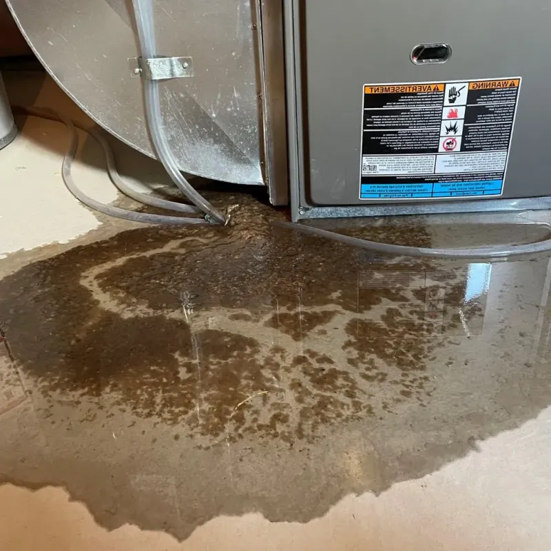 Pipe Burst and Leak Restoration in Rosemont, IL