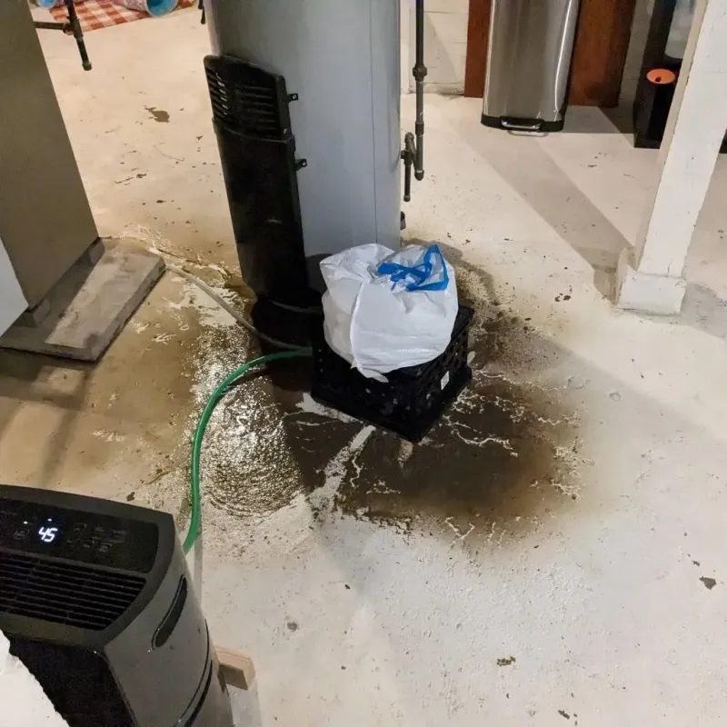 Sewage Backup Cleanup Service in Rosemont, IL
